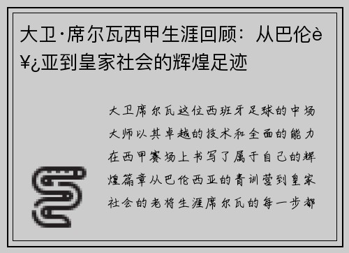 大卫·席尔瓦西甲生涯回顾：从巴伦西亚到皇家社会的辉煌足迹