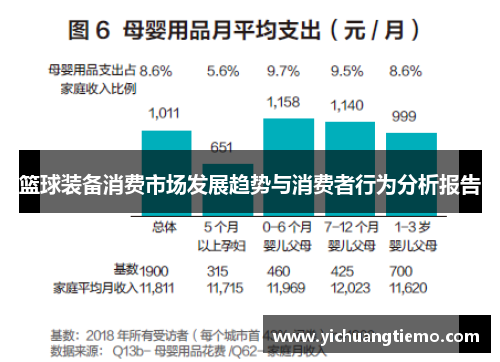 篮球装备消费市场发展趋势与消费者行为分析报告