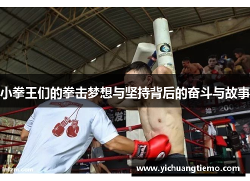 小拳王们的拳击梦想与坚持背后的奋斗与故事
